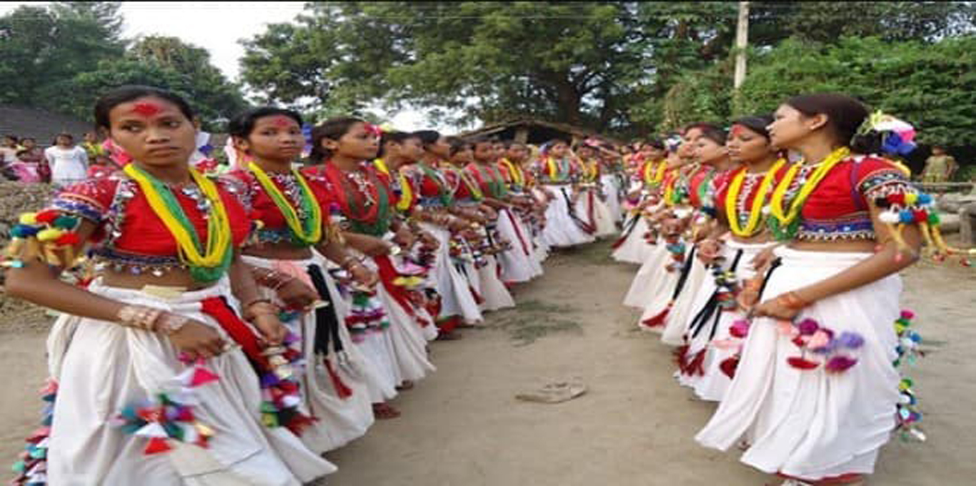 थारू समुदायको सबैभन्दा ठूलो पर्व माघीको तयारीमा जुटे थारु समुदाय